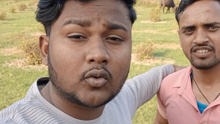 koi टक्कर में नहीं हैं