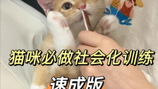 Socialization training is a must for kittens, they will definitely learn it!