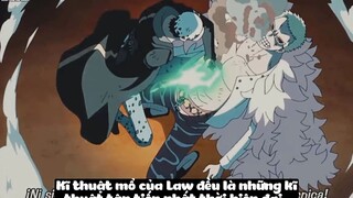 Top 7 Bác Sĩ Vĩ Đại Nhất One Piece p9