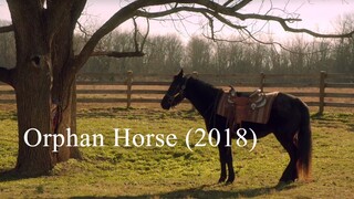 Orphan Horse (2018)