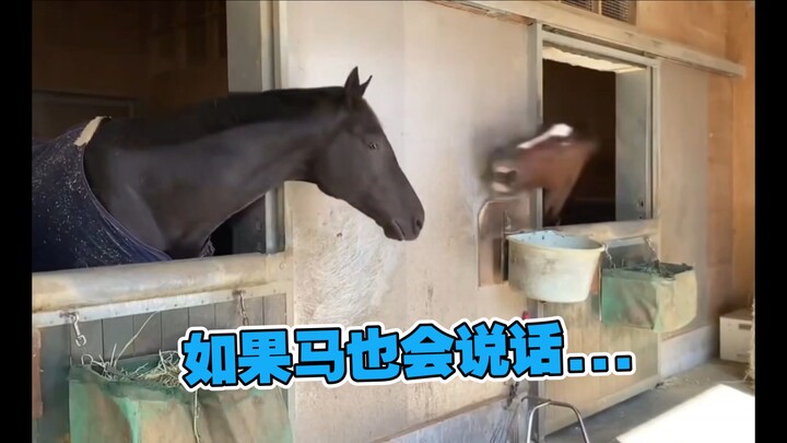 Câm miệng đi😭😭!!