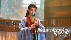 Flying Up Without Disturb | November 15