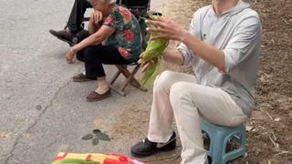 Cô gái da trắng nõn nà Nanniang đấu với bà lão da ngăm, Douban đang trong quá trình bình luận, không