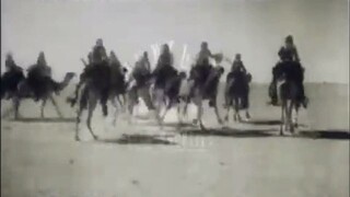 Compilation of various animals, 1920's -- Film 1949