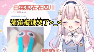 白菜在四川收到店员派的免费礼物后一个人玩起抽象小剧场w