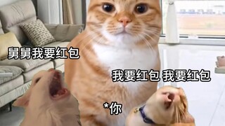 Đến lúc nào chúng ta nhận ra mình đã trưởng thành?