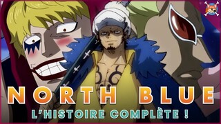 LA GRANDE HISTOIRE DE NORTH BLUE ( Doflamingo, le Germa, Law) - One Piece Explication
