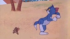 Tom and Jerry tập 121 - 125