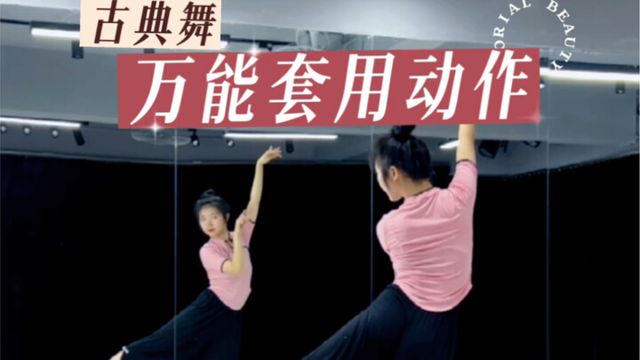 古典舞万能套用动作