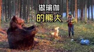 Video binatang yang sangat menyenangkan!