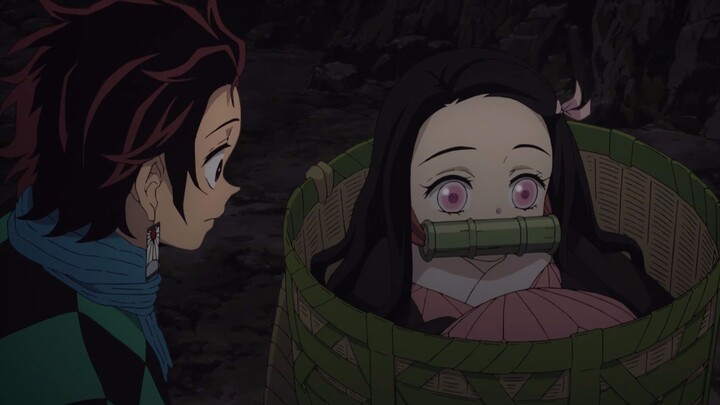 Well-behaved and strong! You must have never seen such a cute sister! 《Demon Slayer》