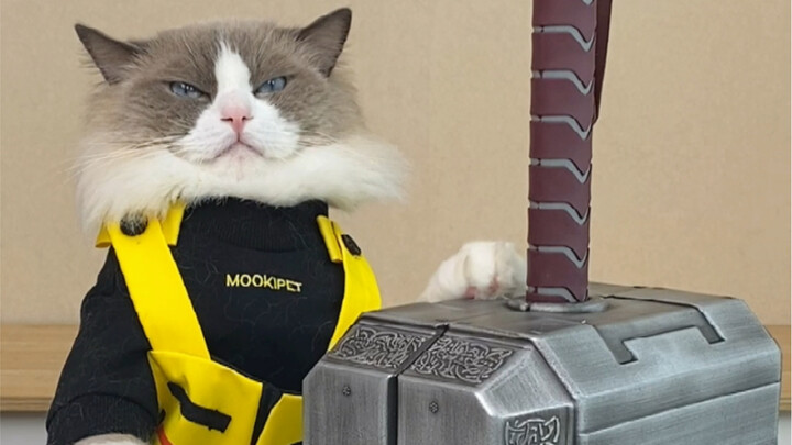 โกนหนวดเคราแบบนี้สะดวกกว่า!