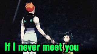If I never meet you