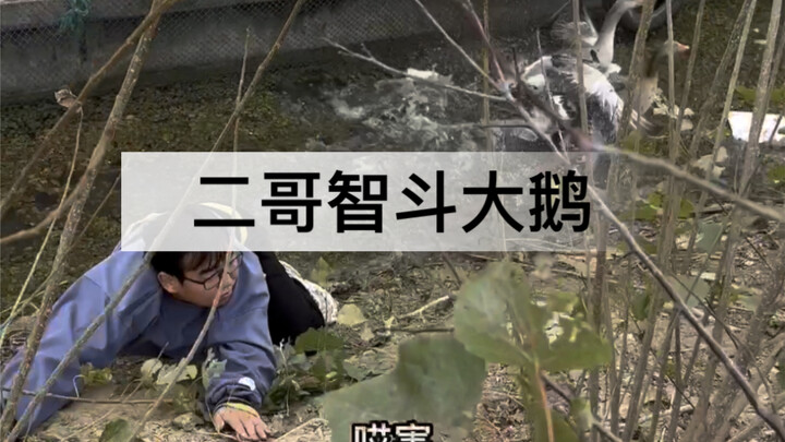 Second Brother pulls out all the tricks to catch the goose, only to be overpowered by it in the end—