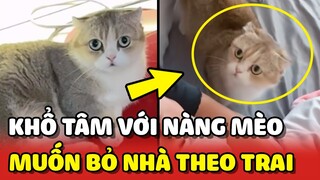 Cô chủ KHỔ TÂM vì con gái cưng muốn BỎ NHÀ THEO TRAI 😂 | Yêu Lu