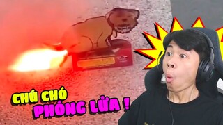 REACTION NHỮNG MÓN ĐỒ CHƠI ĐIÊN RỒ NHẤT SẼ NTN !!! (Pobbrose HNXG) ✔