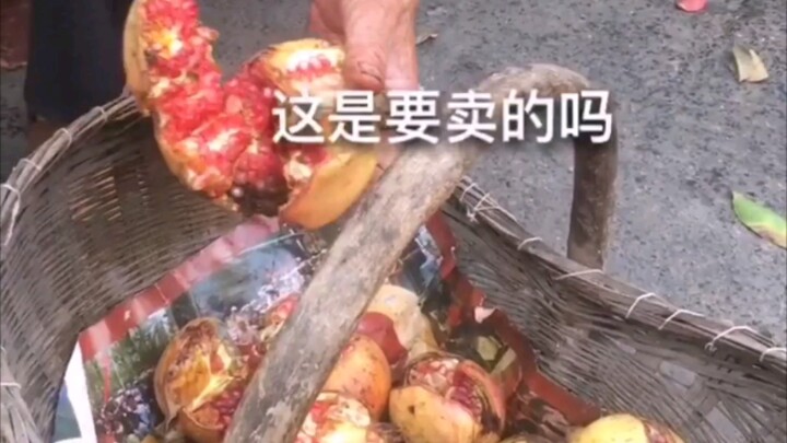 Trái cây bị nứt vỏ thì ngọt nhưng chẳng ai thèm lấy.