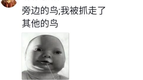 นี่มันนกอะไรกัน จับมันง่ายยิ่งกว่าเก็บมะละกออีก🤣