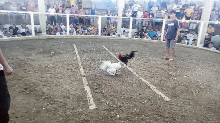 pang patuka kalang pero nanalo ka😁