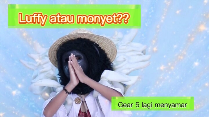 LUFFY GEAR 5 LAGI MENYAMAR‼️