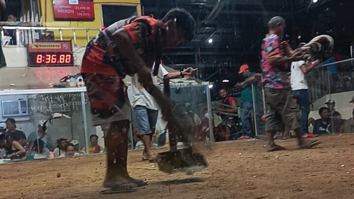 signature triple c gf celso  bullet