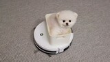 Animal|A Dog Sitting on A Floor Mopping Robot