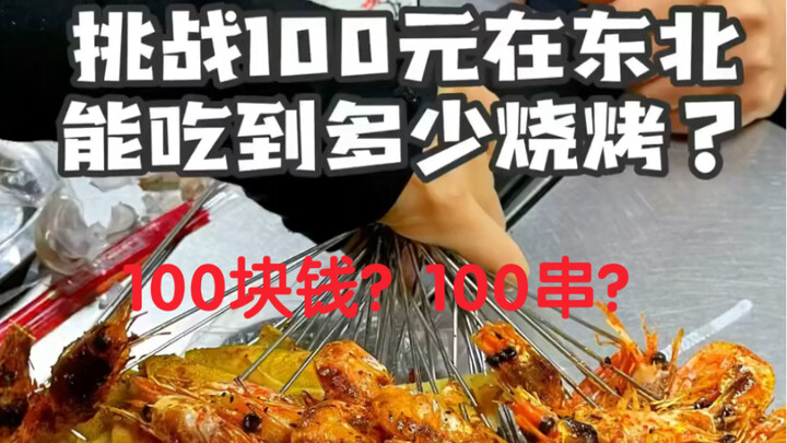 Challenge: How Much BBQ Can You Get for 100 Yuan in Northeast China? I’m Shocked by the Portions! 😱
