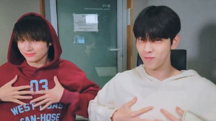 【ระดับ] TXT ไลฟ์โคฟเวอร์เพลง Hot ของ SEVENTEEN หรูหราสุดๆ!