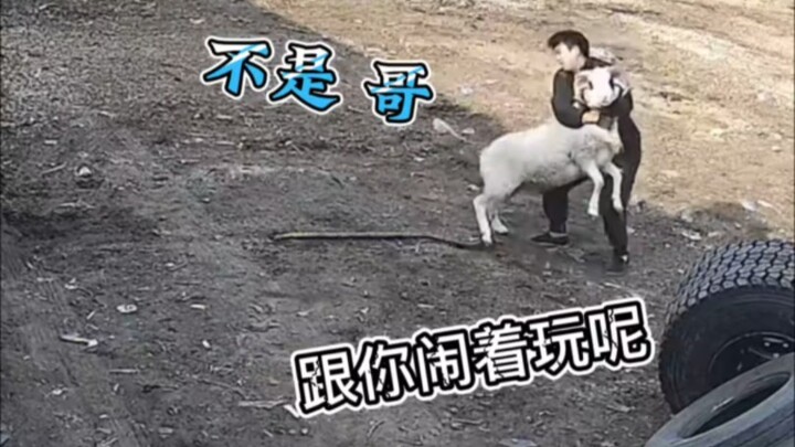 كنت أمزح معك فقط، لماذا أخذتها على محمل الجد؟