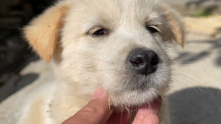 เจ้าตัวจอมตะกละ