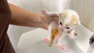 nghịch ngợm bẩn hết người rồi boss ơi