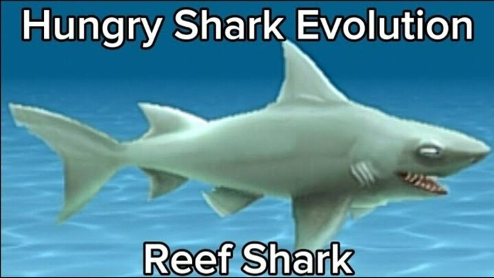 Hungry Shark Evolution (Reef Shark) #BstationGamers #bestofbest