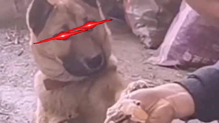 I really don't want to eat it.