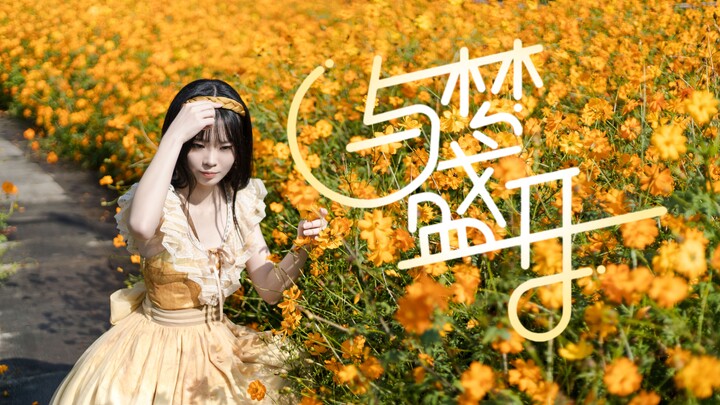 【Little Butterfly】❀Blooming with Dreams❀ Butterflies Come on Their Own ❀