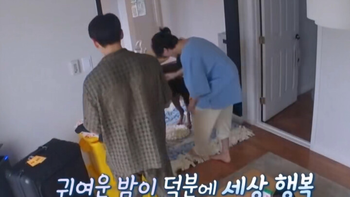 【Quốc Mân Destin】Chó hai mặt Điền Bam: Cửa tủ là gì? Em còn nhỏ, em không hiểu.