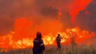 DISASTER