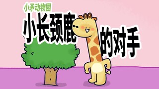 【小矛动物园】小长颈鹿今天遇到对手了。