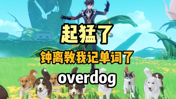 I woke up too suddenly—Zhongli’s teaching me vocabulary again o.O