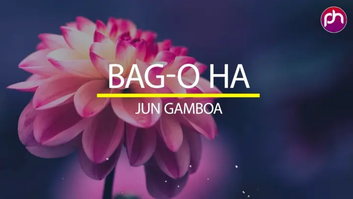 Bag-O ha - Jun Gamboa Band | Bisaya Christian song With LYRICS