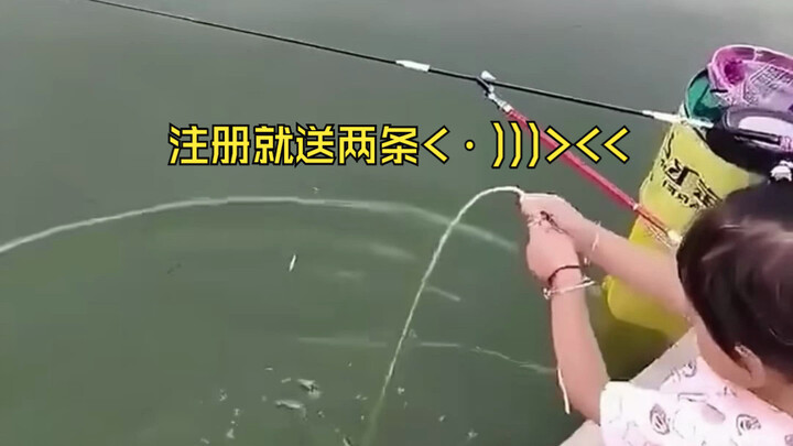 Baik yang pandai memancing maupun yang tidak, semuanya terdiam tak berkata-kata!!!