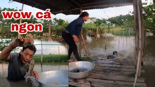 Vợ Chồng Tư Giăng Câu Tưởng Không Có Không Ngờ Qúa Nhiều