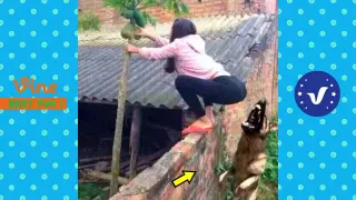 AWW New Funny Videos 2021 ● People doing funny and stupid things Part 16