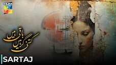 Kitni Girhain Baqi Hain - 2 | Sartaj | Amna Ilyas - Usama Khan | PakistaniAnthologySeries | Hum TV