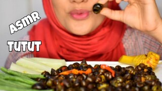 ASMR MAKAN KEONG SAWAH (TUTUT)  | ESCARGOT | ASMR INDONESIA