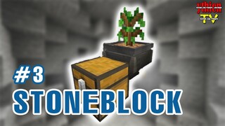 Stoneblock 03 - Ngày Càng Đông Vui
