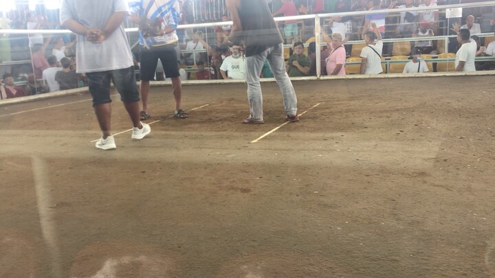 Gaffer lang po tayo ng lyamado win(dampalit cockpit)