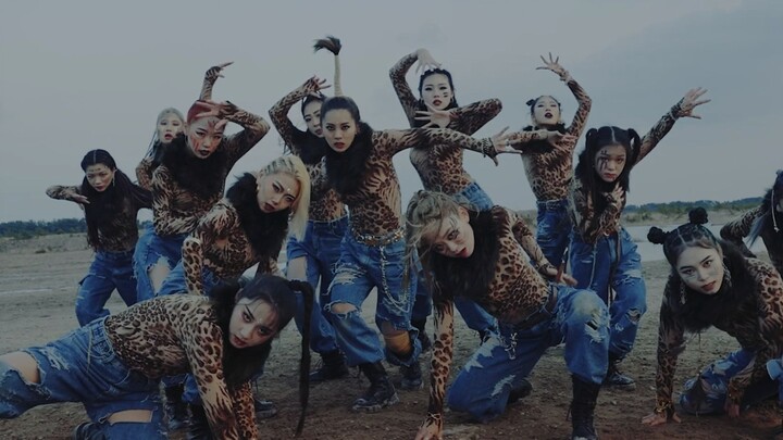 ALiEN Dance Studio | ALNW Project Vol.3 l JungleBook | Choreography by Luna Hyun