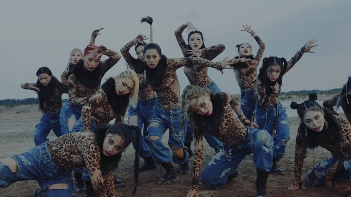 ALiEN Dance Studio | Dự án ALNW Tập 3 l JungleBook Biên đạo của Luna Hyun |