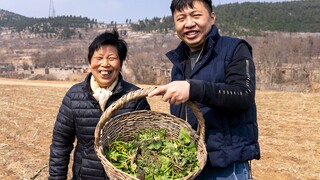 去山里帮老奶奶挖野菜，干了半天被“拉黑”了？【城外就是乡00】