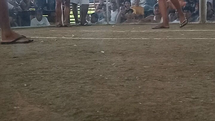 pasacao cockpet win talisay